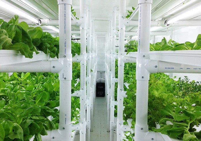 Container Farm Puts A Full Acre Of Lettuce In Your Backyard