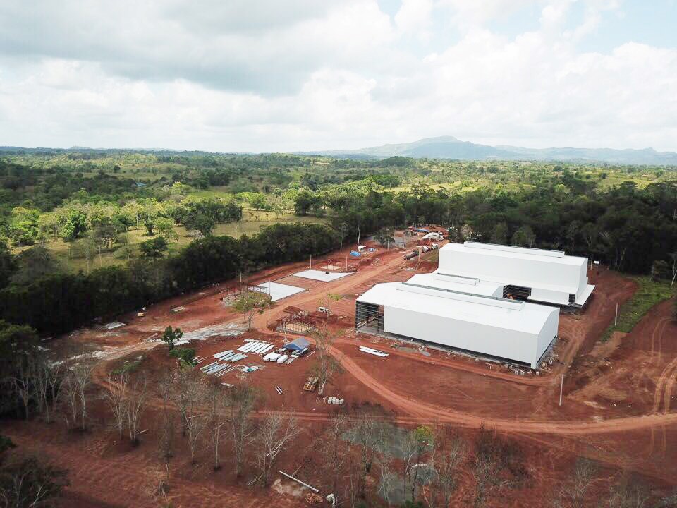 Multi-span steel structure building: Nicaragua Coffee Factory